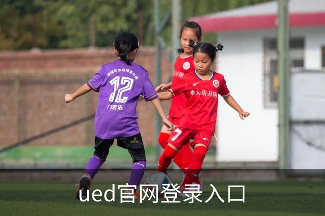 ued官网登录入口公司介绍
